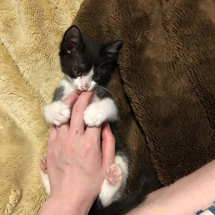 6686dd6b 96ba 4d1a 8c85 c0a8fdbbbdf5