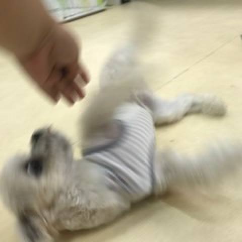 668875d9 867b 4886 98e2 9b44f328bebf