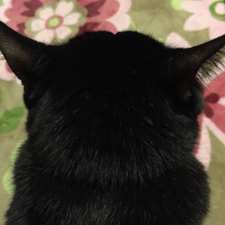 66888c3c 6014 471d 9bdf 1454be01dc31