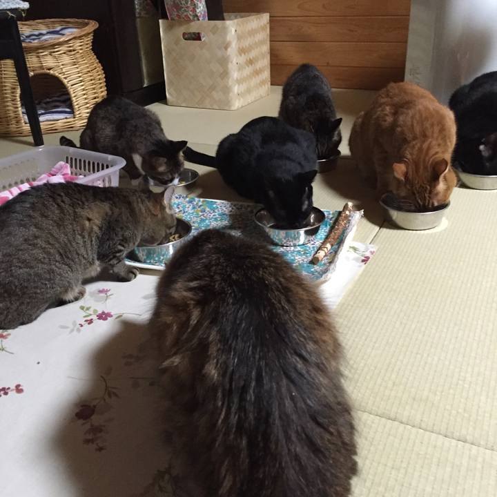 66888f61 62d1 489f b2c1 830fb36c288a