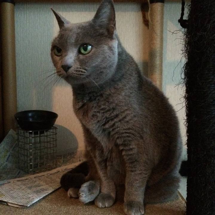 668939a4 0f2e 4248 81b4 fbfe516c2de5