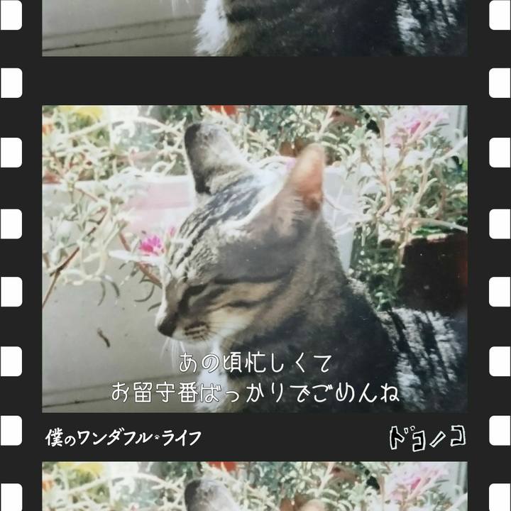 6689d126 d93e 452f a728 67c5cef49338