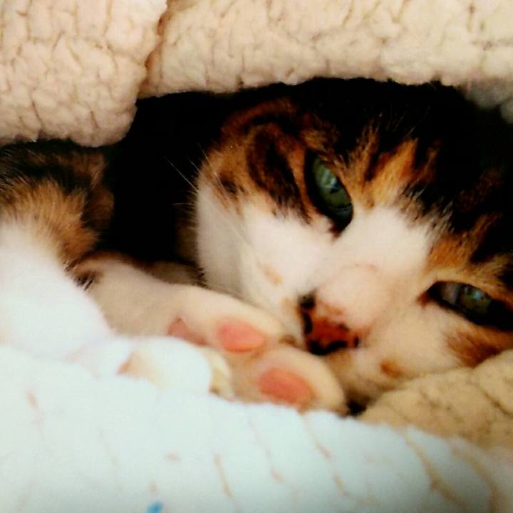 6689ead8 9137 425b a57e 57a961a11549