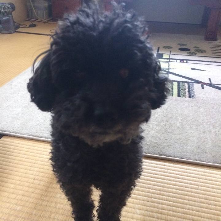 6689f5a9 d86e 49fd b2b7 cf0053b440a7