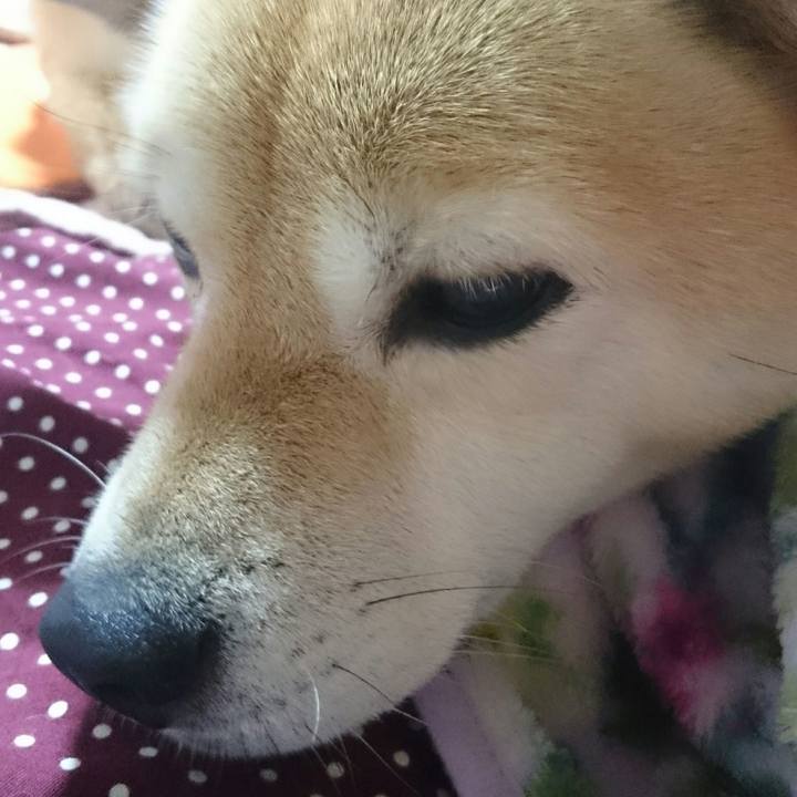 668a4bbb 240a 4f72 b21f 7dc10c7d5268