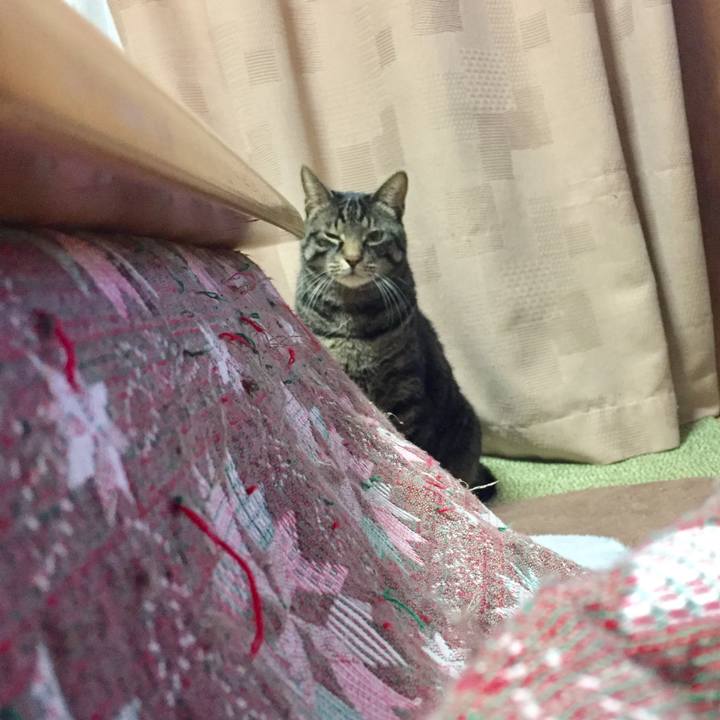 668ac83e ca1e 4ed0 8f86 d25d54065d52