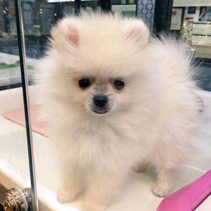 668b52e2 69c5 4b2a 9996 3480bff81d65