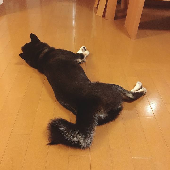 668c6da4 e13c 4c11 b4c8 7b3870da0966