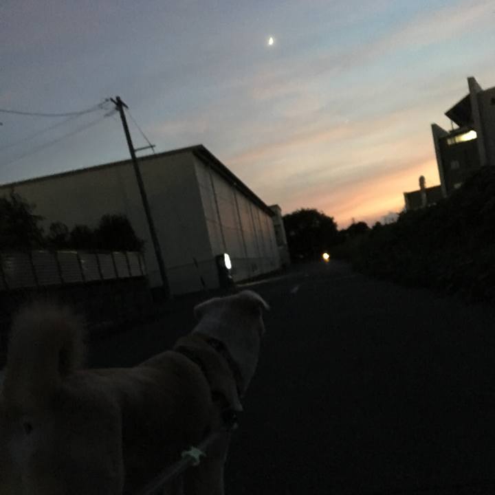 668c8f60 2dfb 43a9 8e55 21a553392699