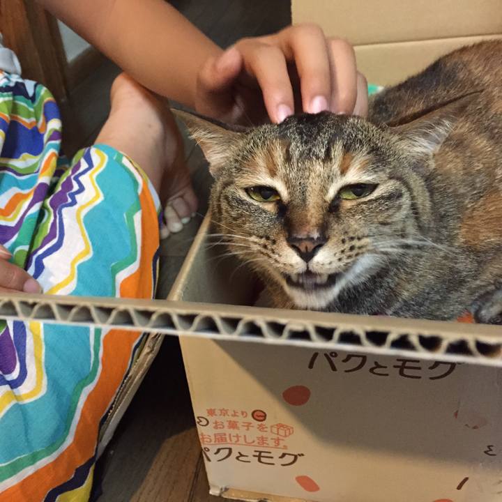 668cd39a f1b9 4989 aa4c 8af562f019e9