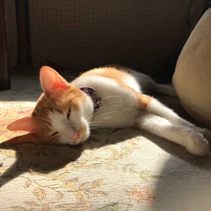 668cf2bc 6589 45fc a80f 138e1f4f8783