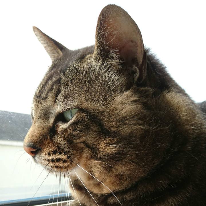 668f1b3d 4a3f 434c 94c5 b3f050e65254