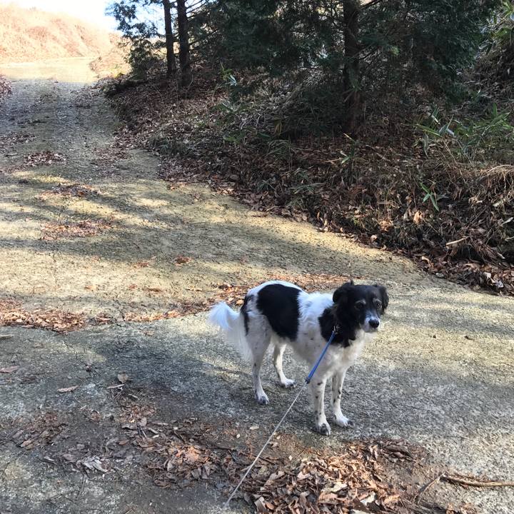 668f6776 5847 42f7 a0c8 3de208af80f2