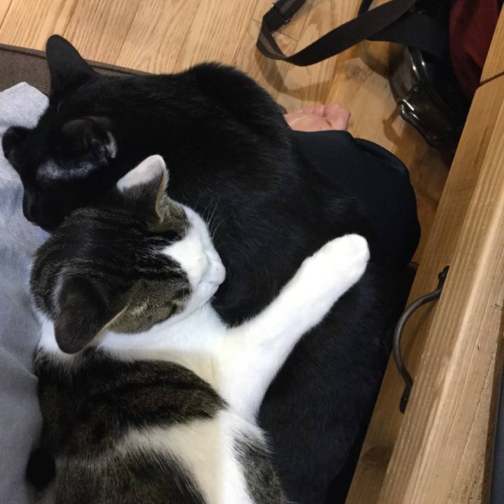 668f7265 672b 4943 a2a3 82d8cbdf9043