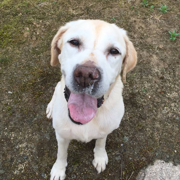 669028ad 54fc 468a 95c2 cba7caa6399e