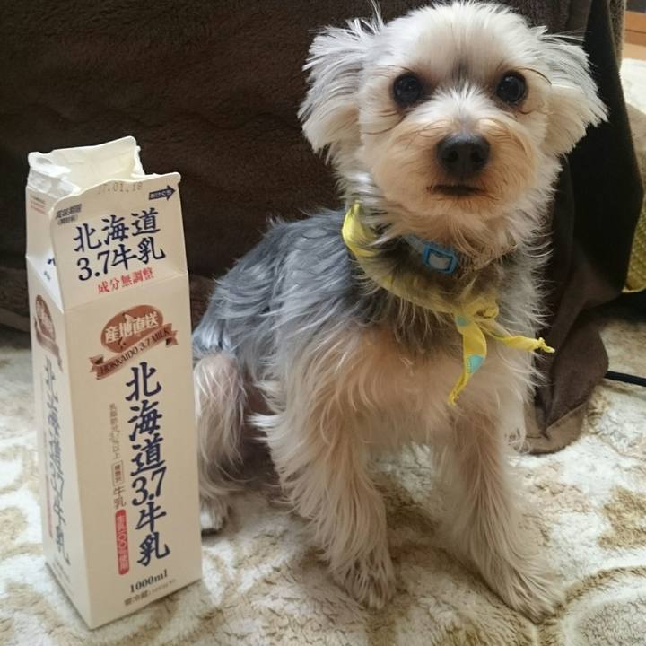 6690450f 2172 45ef 9ac8 dc1f6dd5498a