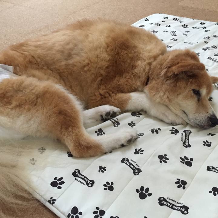 66911da0 a514 4937 ac6c a558f3065b80