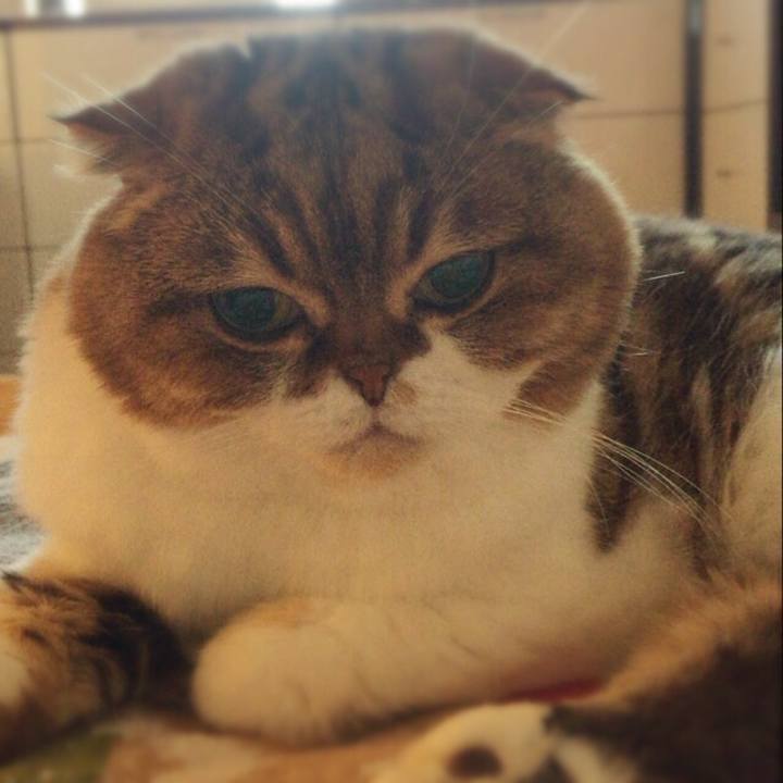 669136ae a765 402a 9cdb 37fc4b7cfccc