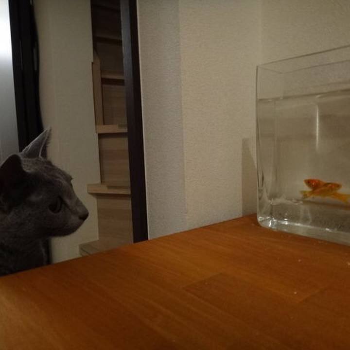 66914bac ebc0 490d b90b 88fc841033f4