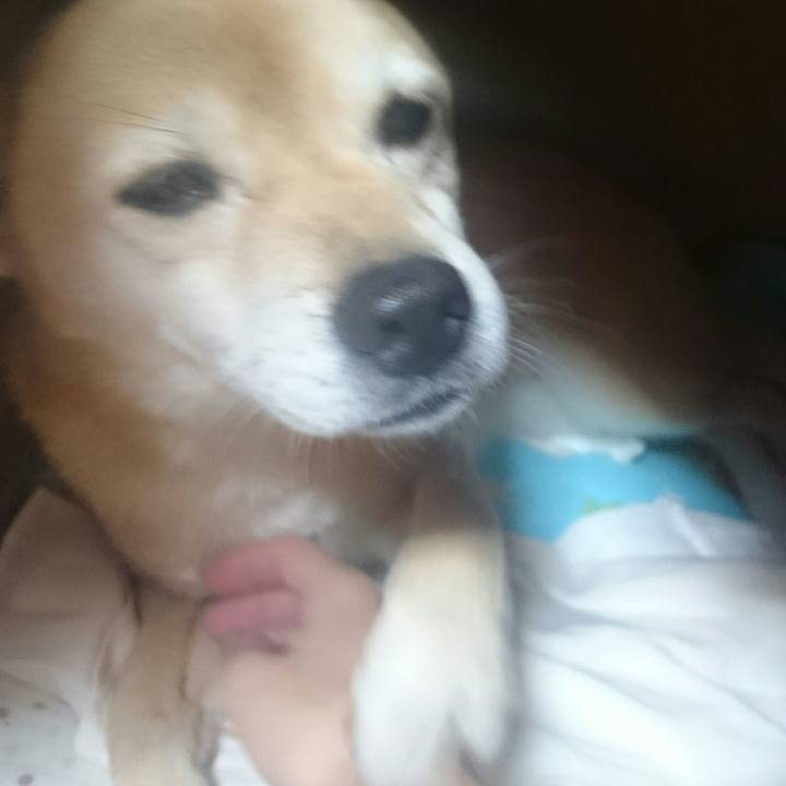 6691a22b a87f 4126 a5a2 50440a9574e3