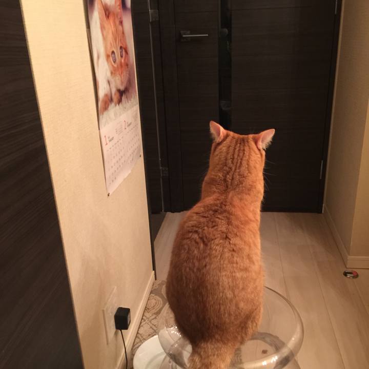 6691fb11 e1de 496b ae25 b954de4028b3