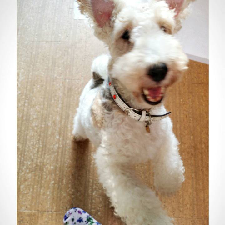 669228c1 b1e4 4fe2 9fc8 3b447810651c