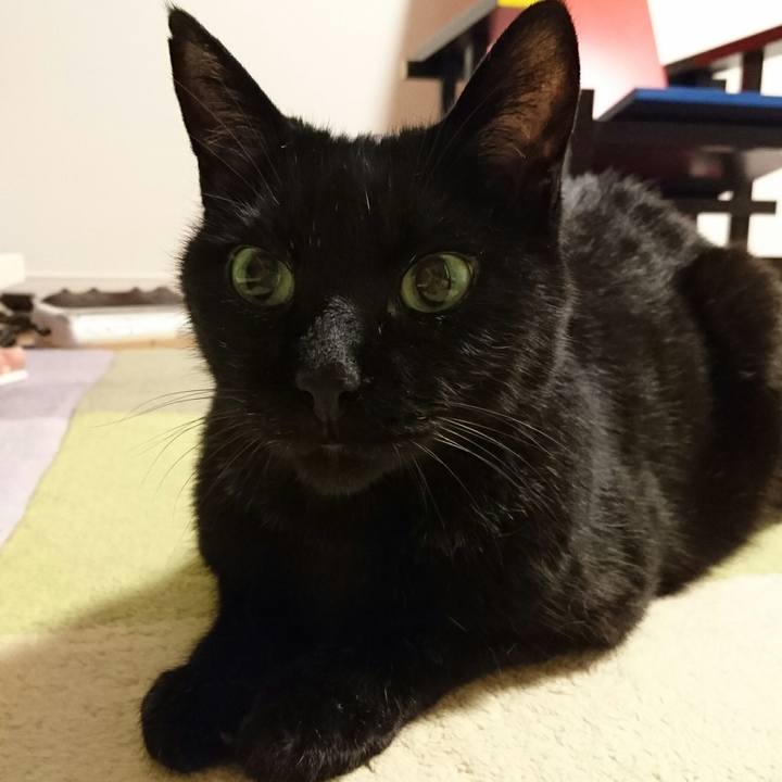 66925bc9 92c1 4be8 9981 4bf0a99223d4