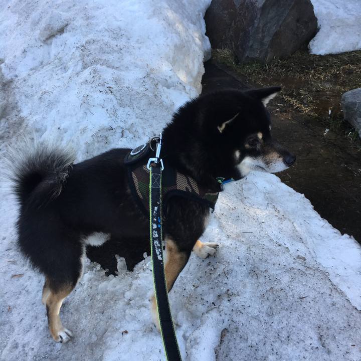 66929a8c e41f 44db 89e3 6103c02735a1