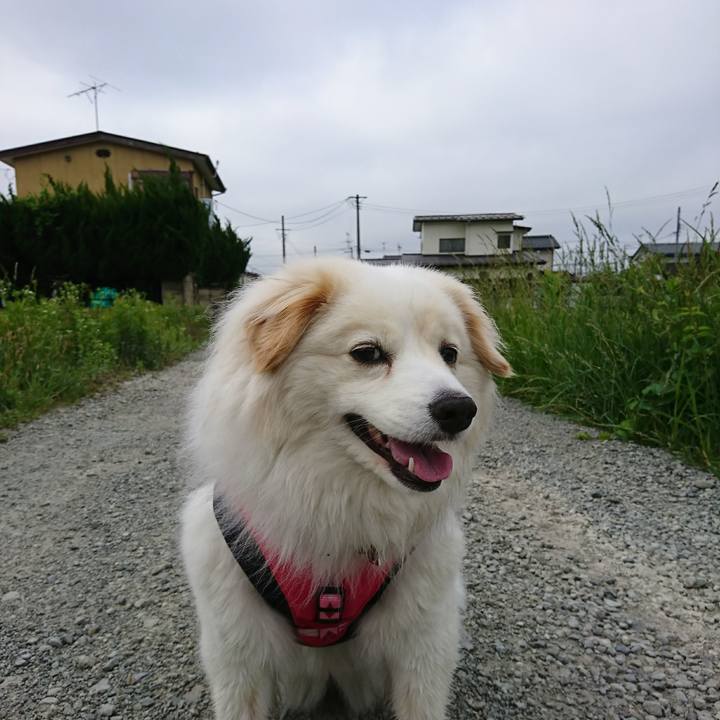 669301e2 7650 4e64 a92d 3c6f5ee0decc