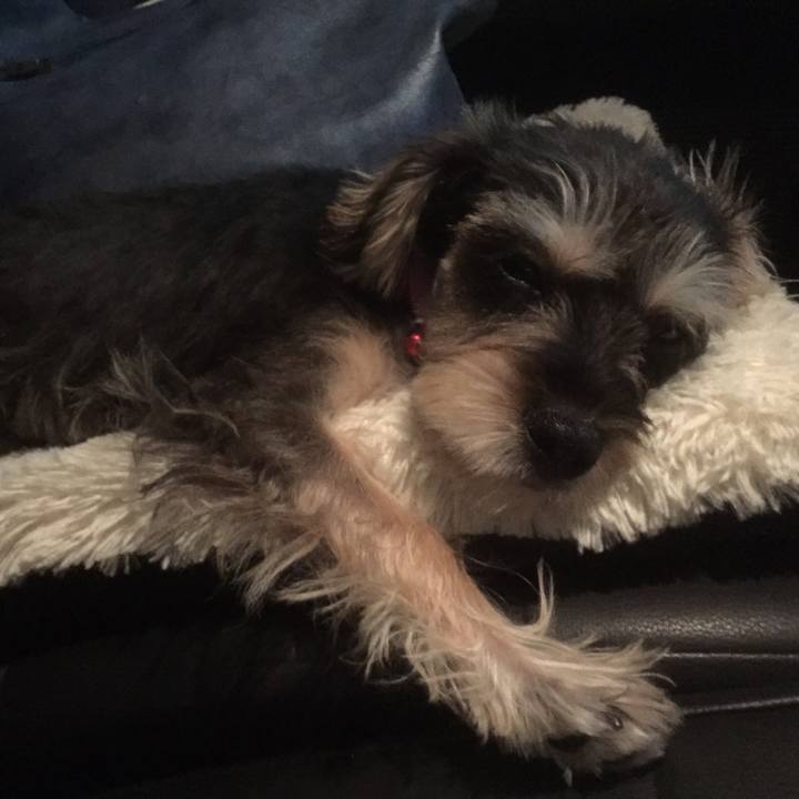 6693aa78 26f4 4801 956f 0adf7a2671c8