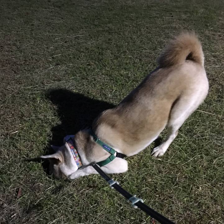 6693b7f2 176f 42af 8096 a35d7957266f