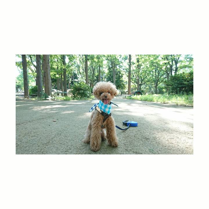 66940640 a39a 449c 9656 9212b86dbc2b