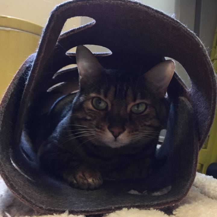 669444cb 30dd 4293 b4d3 be398ba3a807