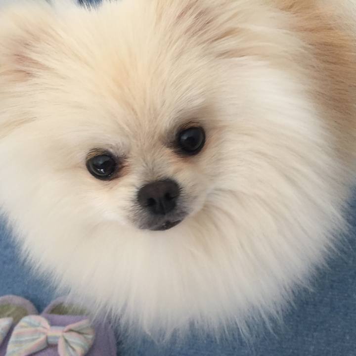 6694fd18 7dbc 4975 8331 67f092a41024