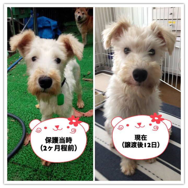 66954119 c8d9 4715 a5e8 97534fbf3966