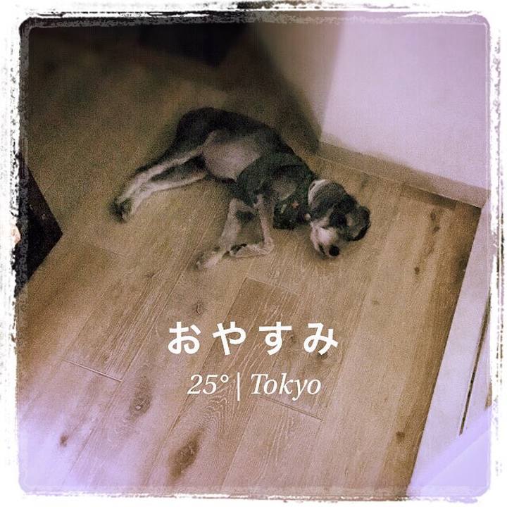 66954447 f6b3 4899 bb0a b607cc864843