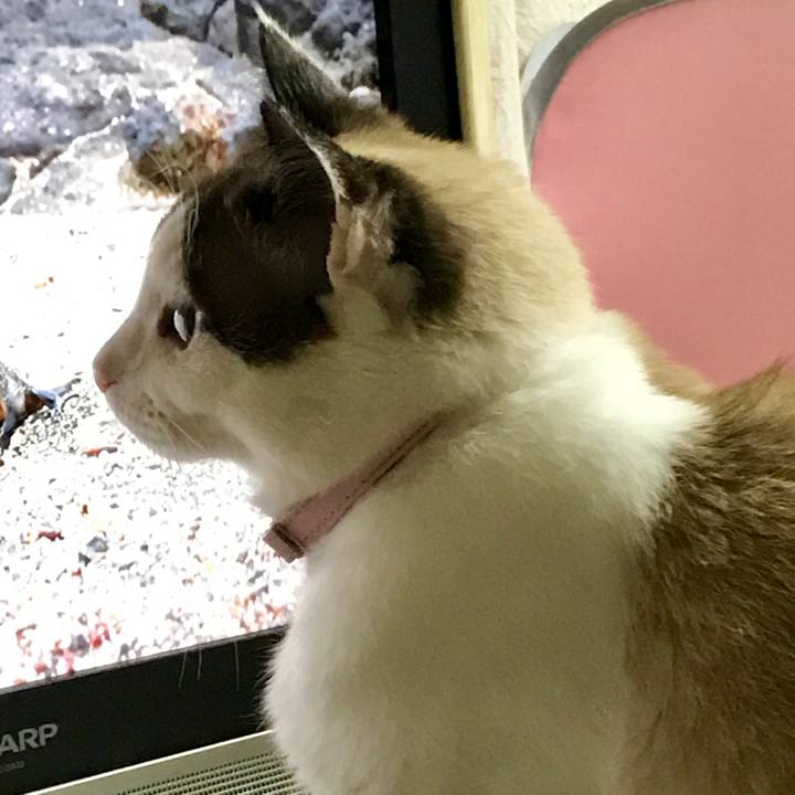 6695da6e 92c2 4cb5 8c5d e5dd31908f25