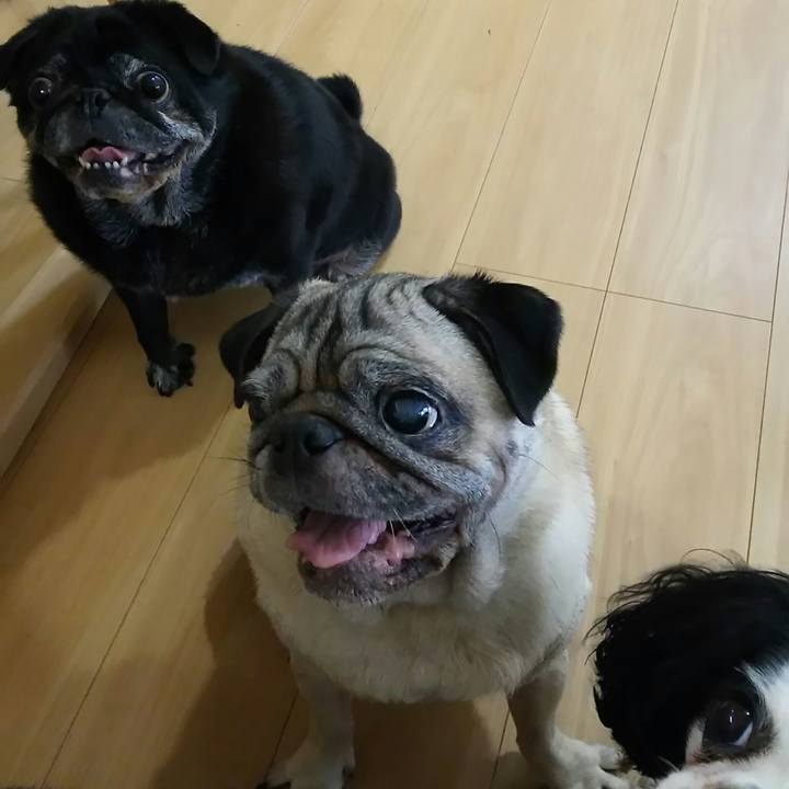 66968d8f 8974 40ae b01d ee547e0bcb67