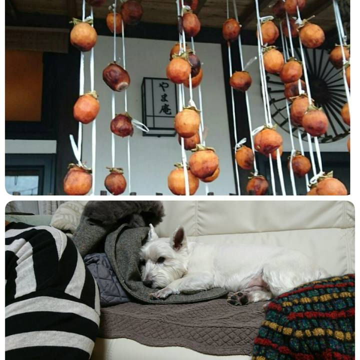 66976b97 de8a 4d67 8910 adaec791dc93