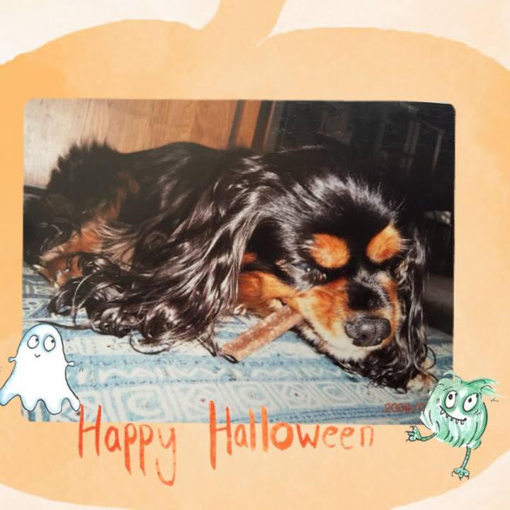 6697a02a a7fd 4ca1 89d7 276ef8839055