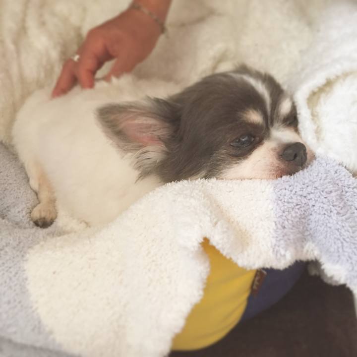 6697a8db 62eb 42b3 be63 58a372d795a6