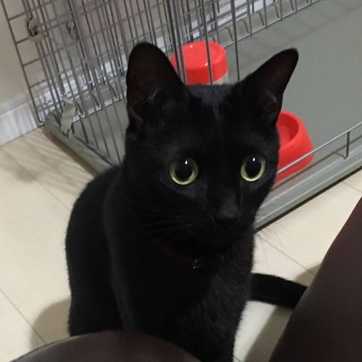 66993ef5 35ca 45ac b225 03fd228125d0