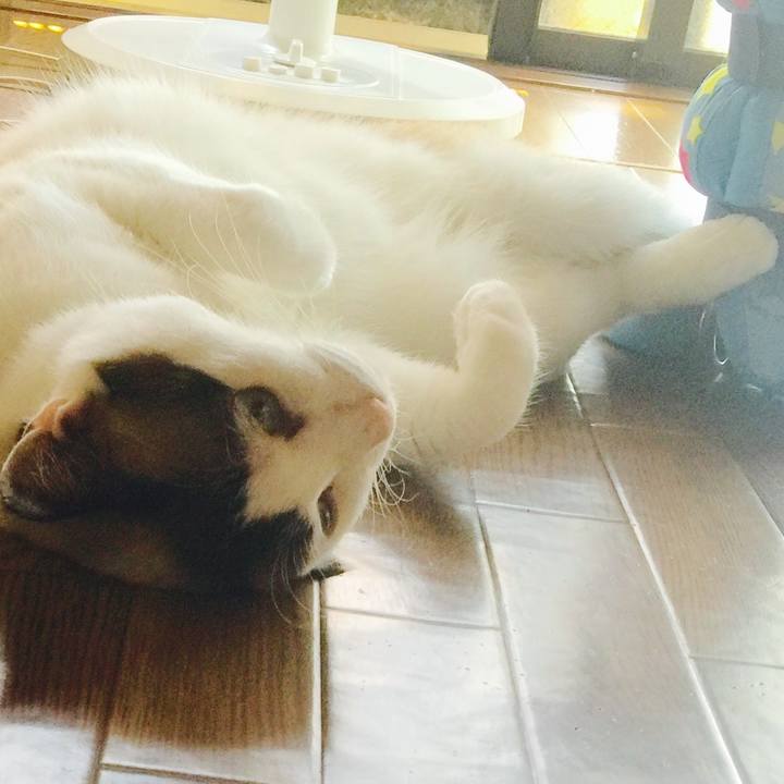 66999271 cb75 4755 a09c 679799771659