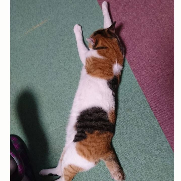 669a15b0 4314 4d57 827b 8ded5b922444