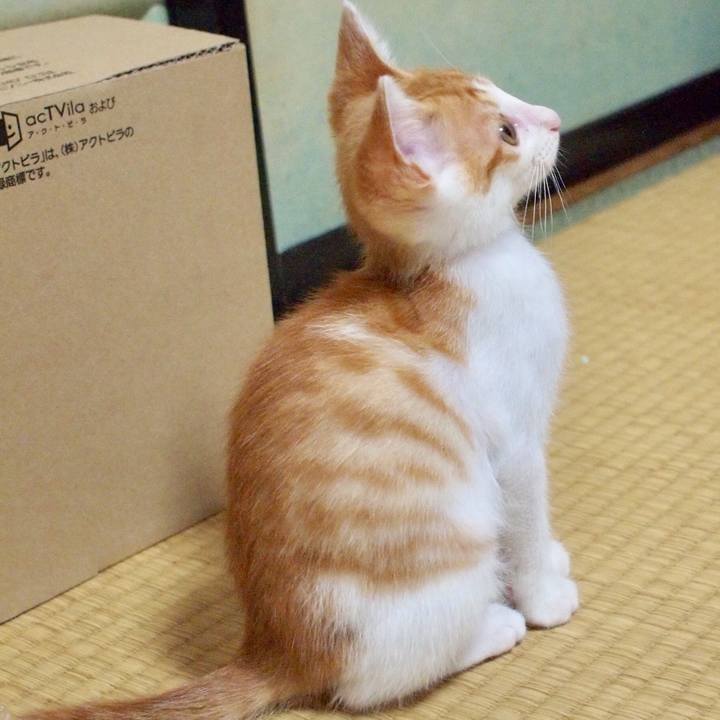 669ab9d9 e396 4680 9641 1f330b4740b4