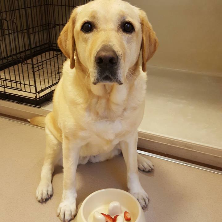 669c6277 bee2 4fa9 ab4c 9e2a11297f26