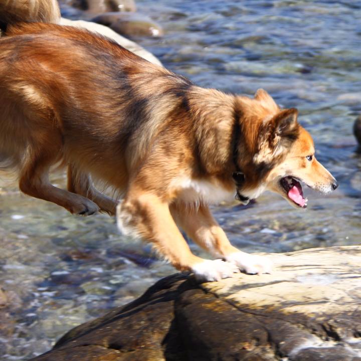 669cdcf5 d754 48da 8000 18c950d9fa38