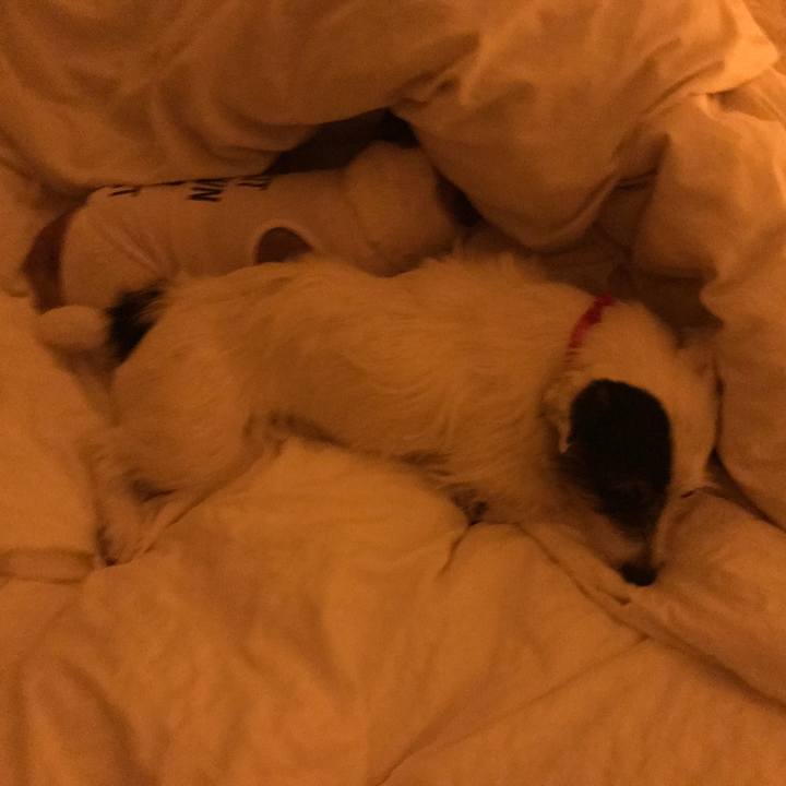 669d325e 9616 40b4 9a46 89560b7aafb8