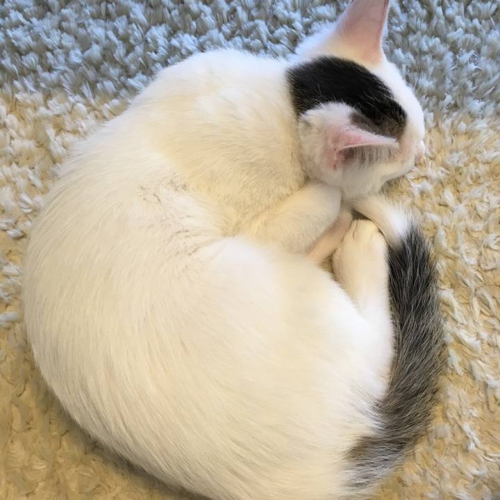 669d36da c525 4c71 b6d9 b5b5f8d84202