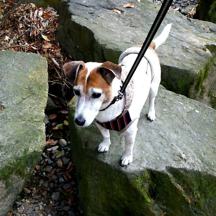 669d3c84 37ac 43ec 98cc 2e47d99e61ec